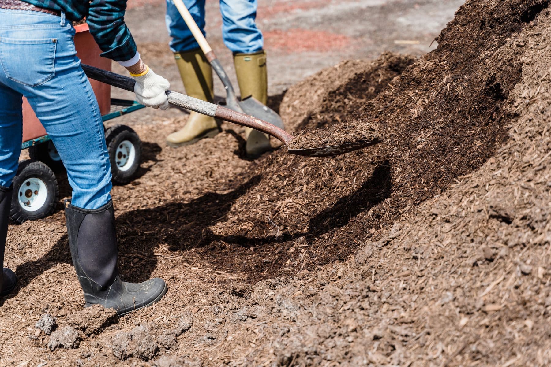 Landscape workers moving soil with a shovel and garden cart